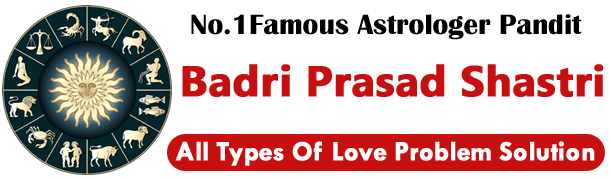 World Famous Astrologer Badri Prasad Shastri +91-9549628351